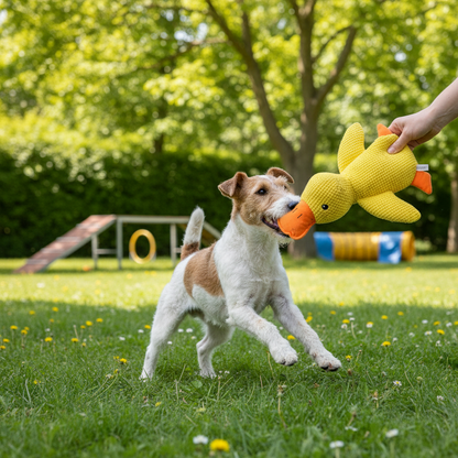 Calming Durable Duck